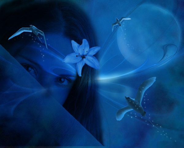 Creation of A Dream In Blue: Step 7